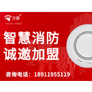 家用独立烟感_外贸烟雾温度一体报警器_认证直供_1000pcs起订